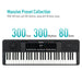 61 KEYS LED ELECTRONIC KEYBOARD - Sonicake