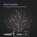 2.4G Wireless Audio System - Sonicake