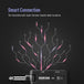 2.4G Wireless Audio System - Sonicake